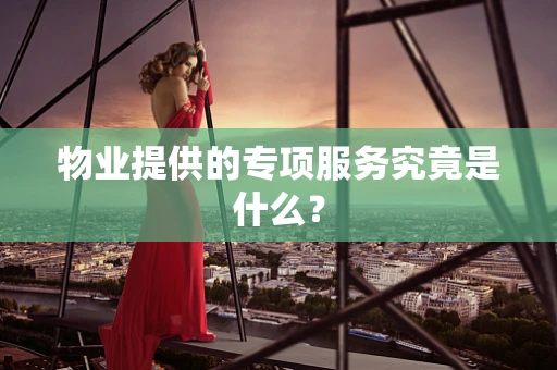 物业提供的专项服务究竟是什么？