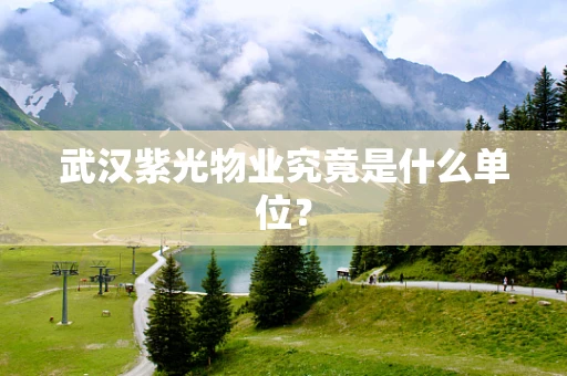 武汉紫光物业究竟是什么单位？