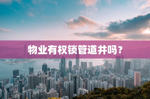 物业有权锁管道井吗？