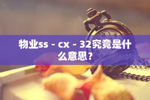 物业ss - cx - 32究竟是什么意思？