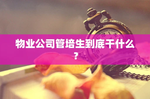 物业公司管培生到底干什么？