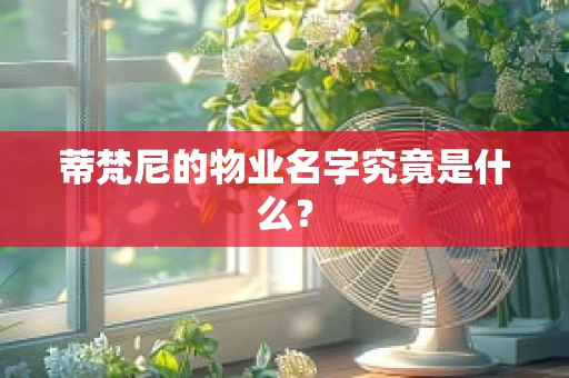 蒂梵尼的物业名字究竟是什么？