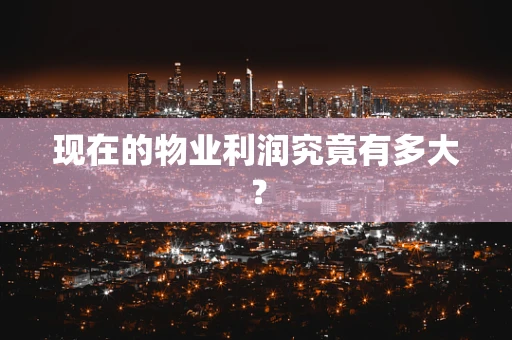 现在的物业利润究竟有多大？