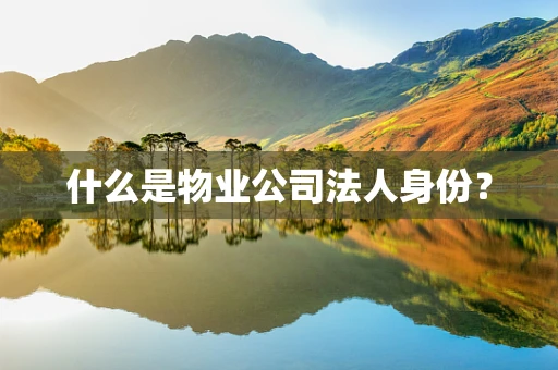 什么是物业公司法人身份？