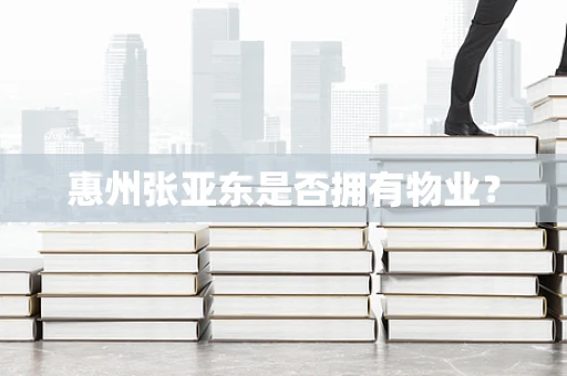 惠州张亚东是否拥有物业？