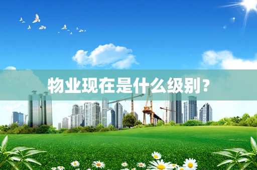 物业现在是什么级别？