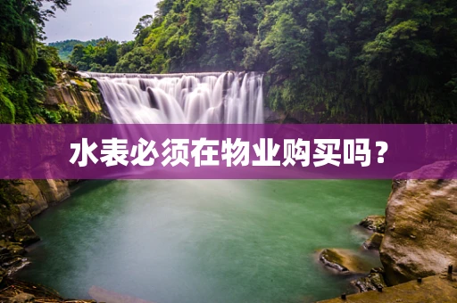 水表必须在物业购买吗？