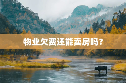 物业欠费还能卖房吗？