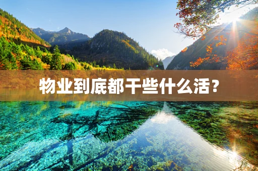 物业到底都干些什么活？