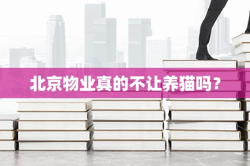北京物业真的不让养猫吗？