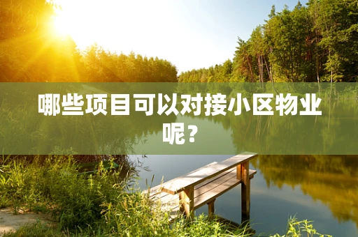 哪些项目可以对接小区物业呢？