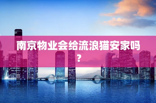 南京物业会给流浪猫安家吗？