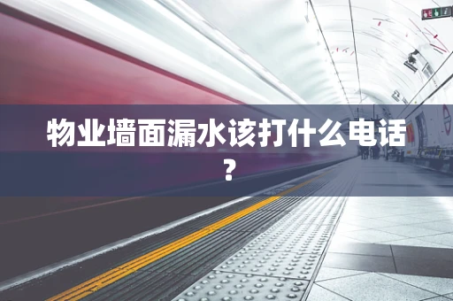 物业墙面漏水该打什么电话？