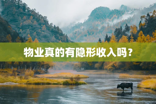 物业真的有隐形收入吗？