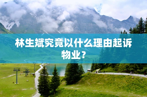 林生斌究竟以什么理由起诉物业？