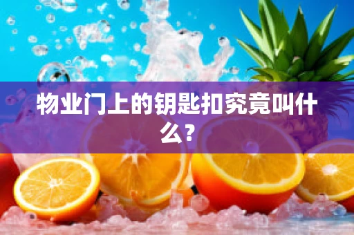 物业门上的钥匙扣究竟叫什么？