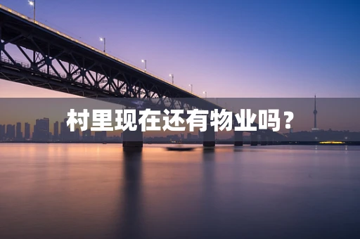 村里现在还有物业吗？