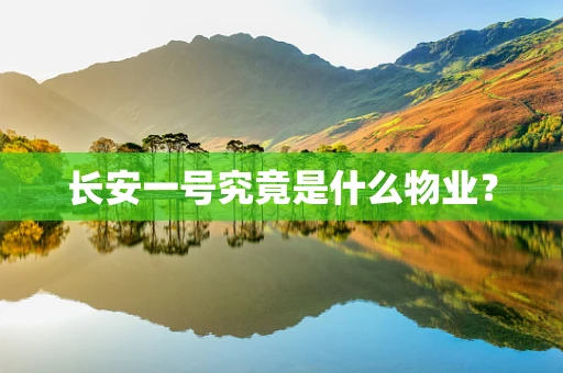 长安一号究竟是什么物业？