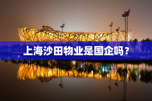 上海沙田物业是国企吗？