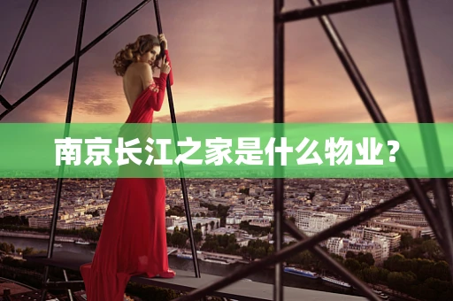 南京长江之家是什么物业？