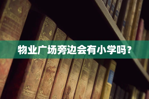 物业广场旁边会有小学吗？