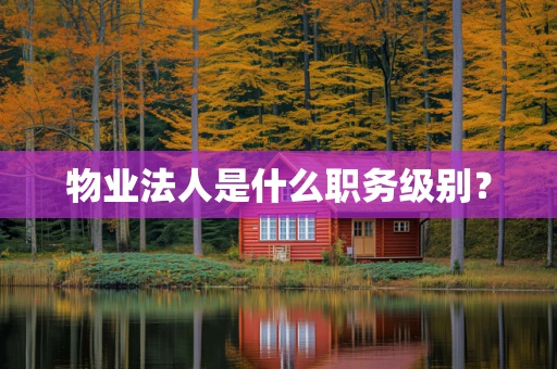 物业法人是什么职务级别？
