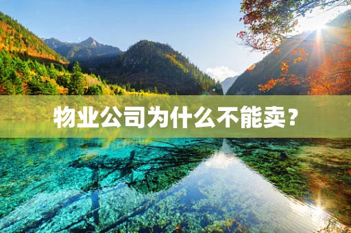 物业公司为什么不能卖？