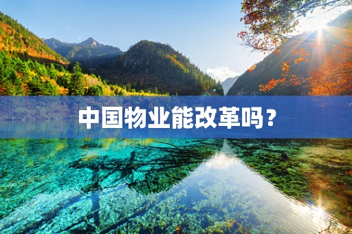中国物业能改革吗？