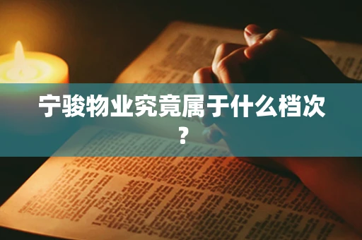 宁骏物业究竟属于什么档次？