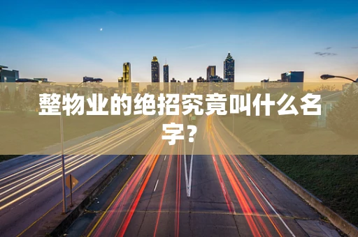 整物业的绝招究竟叫什么名字？