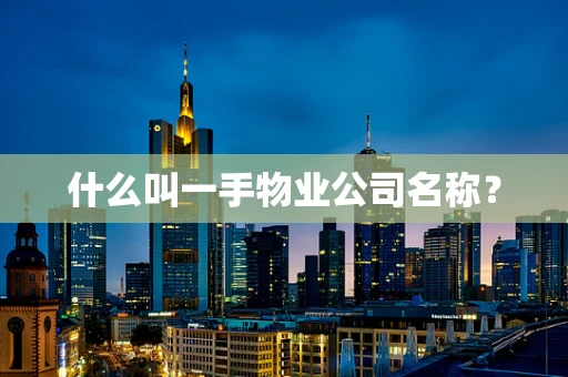 什么叫一手物业公司名称？