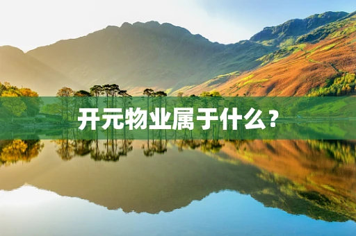 开元物业属于什么？