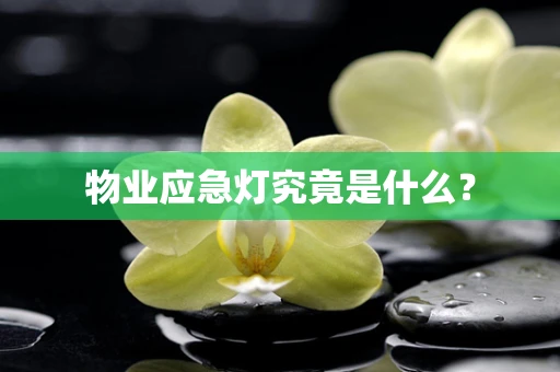 物业应急灯究竟是什么？