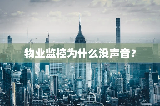 物业监控为什么没声音？