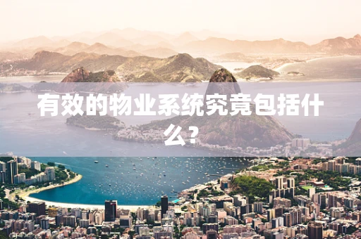 有效的物业系统究竟包括什么？