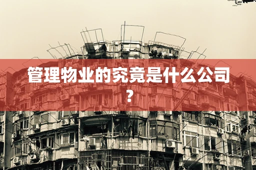 管理物业的究竟是什么公司？