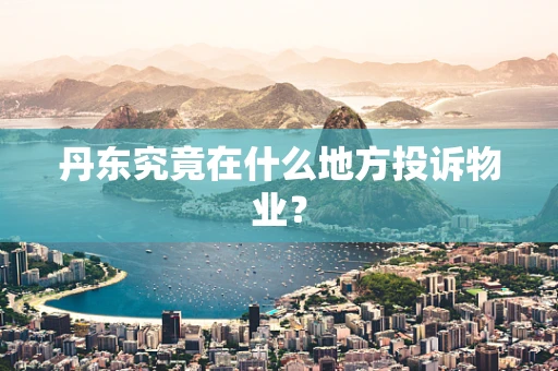 丹东究竟在什么地方投诉物业？