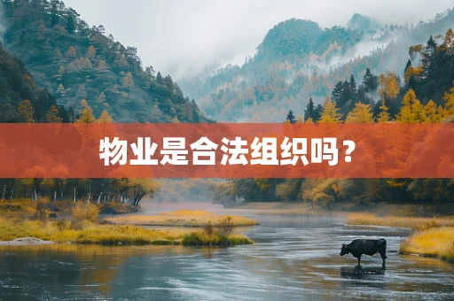 物业是合法组织吗？