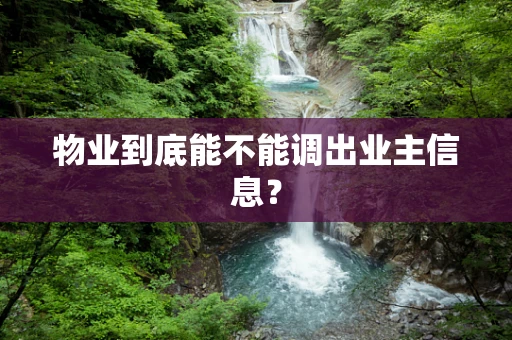 物业到底能不能调出业主信息？
