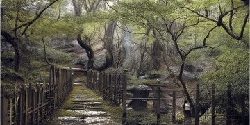 兴隆鑫苑究竟是什么物业公司？