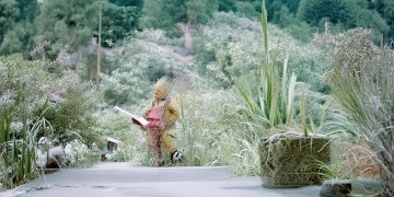 九龙花园是什么物业管理？